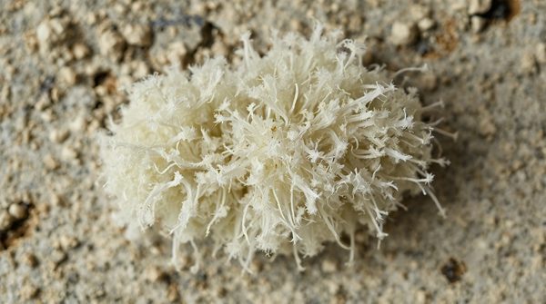 Retrait amiante : des experts pour une intervention rapide