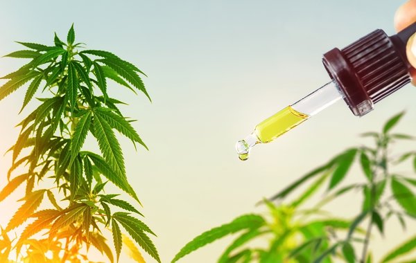 Cbd contre le stress : la solution naturelle pour apaiser l'esprit